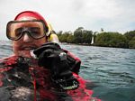 Snorkeling at Cpt Cook Monument
